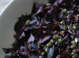 Red Shiso buds