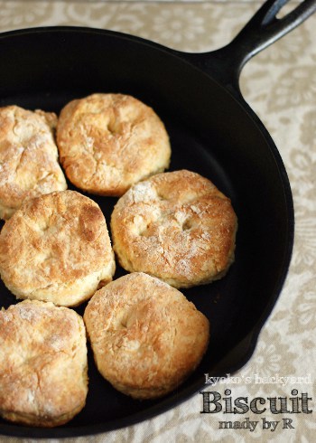 biscuit