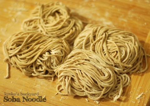 Noodle