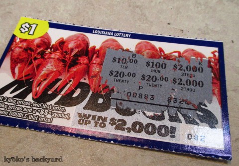 Lottery