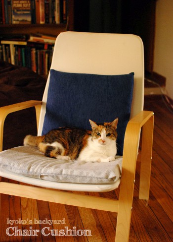 Cushion