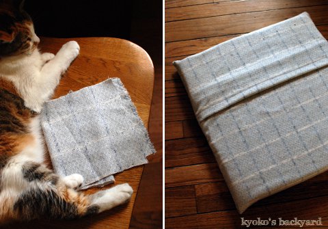 Cushion